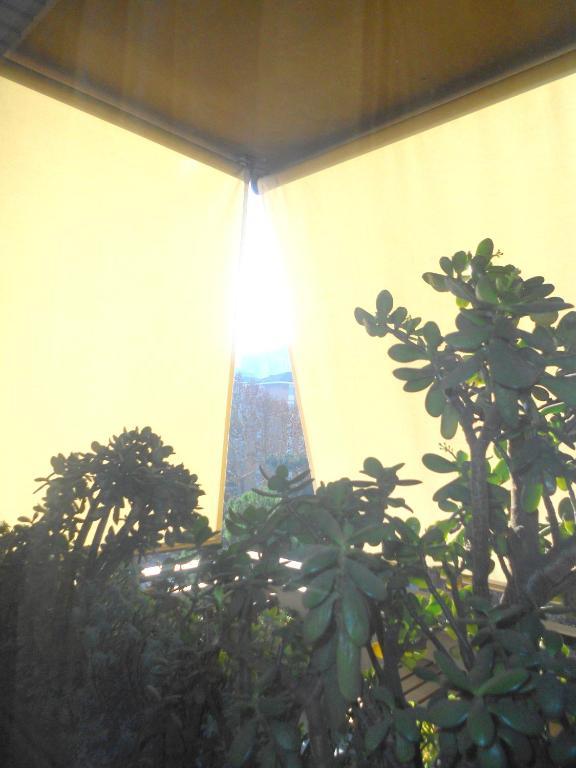 A Casa Chiecchi B&B Rome Extérieur photo
